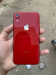 IPHONE XR 10/10 ALL OK 77 BATTERY HEALTH DEAD FINAL