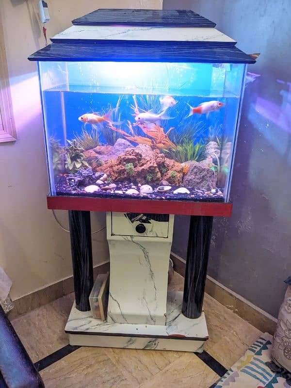 aquarium with fish and stand 2