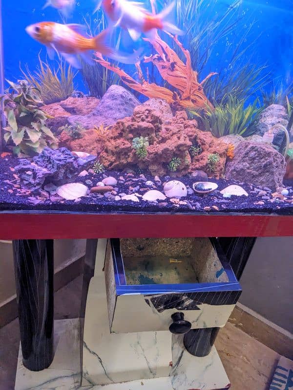 aquarium with fish and stand 5