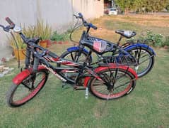 2 kids cycle 20 inch h