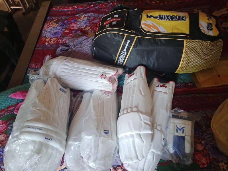 Cricket kit 1