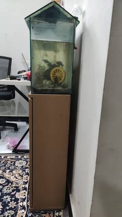 Two opening Cabinet also can be used as Aquarium stand