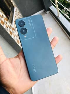 Vivo