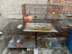 Bird 3 portion cage for sale