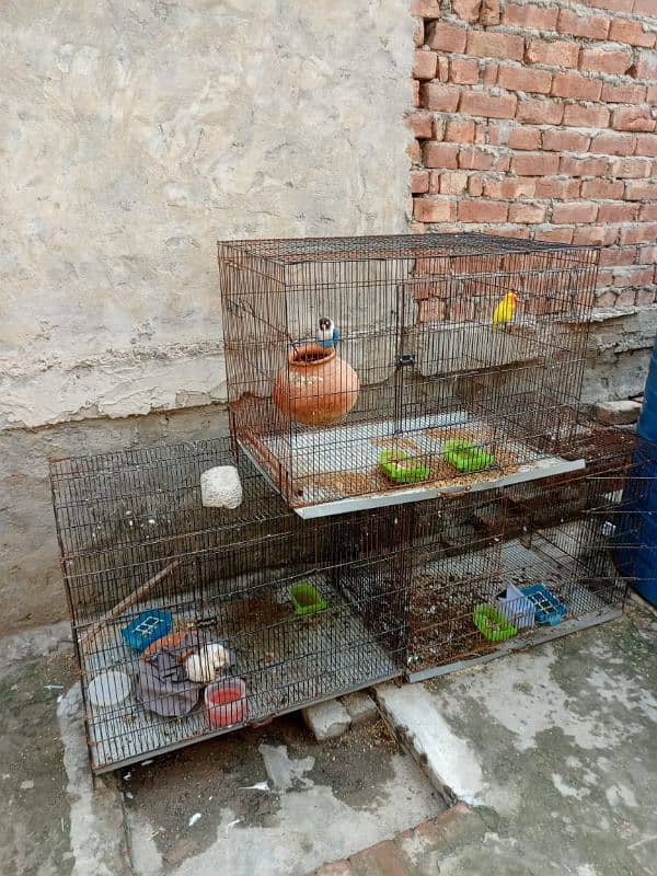 Bird 3 portion cage for sale 1