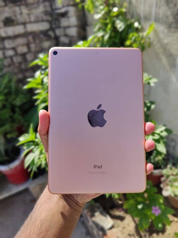 Ipad Mini 5 64gb Mint Condition 1