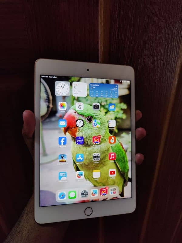 Ipad Mini 5 64gb Mint Condition 5