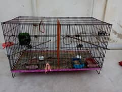 Finches Pair with Cage