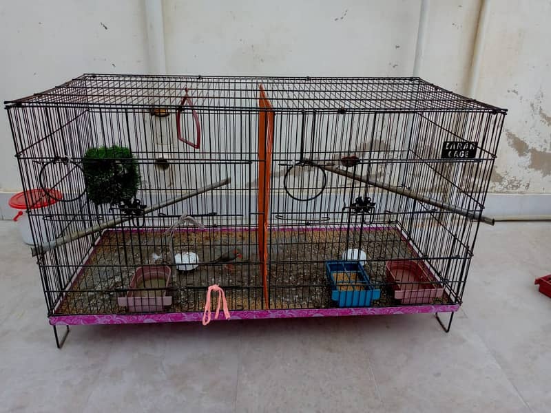 Finches Pair with Cage 0