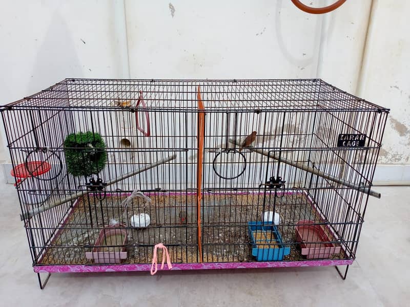 Finches Pair with Cage 4