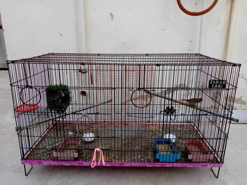 Finches Pair with Cage 8