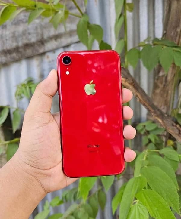 iphone Xr 1