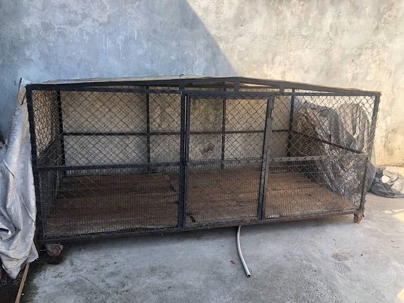 Dogs Cage for sale 0