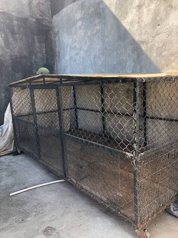 Dogs Cage for sale 1