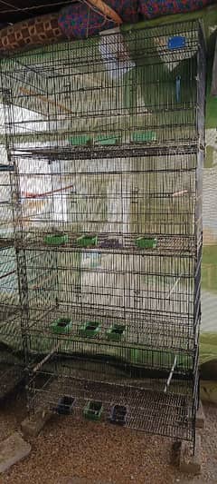 Love birds cage