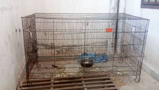 2 very big cage aik parrots k lie hy aur dosara bi bhot bara hy