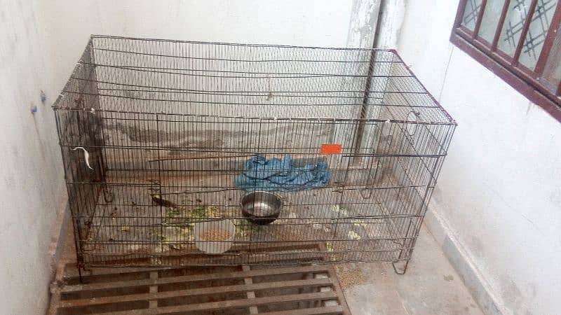 2 very big cage aik parrots k lie hy aur dosara bi bhot bara hy 1