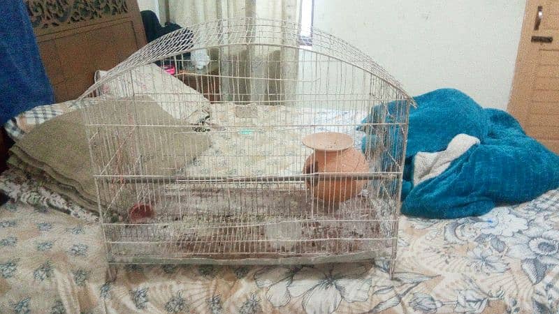 2 very big cage aik parrots k lie hy aur dosara bi bhot bara hy 2