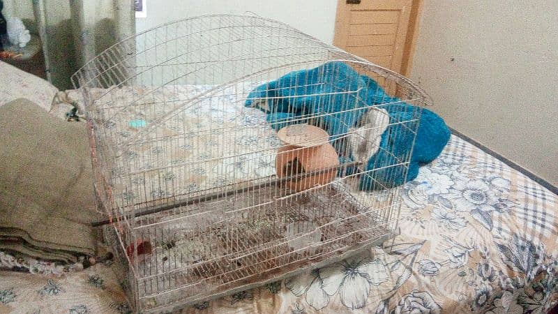 2 very big cage aik parrots k lie hy aur dosara bi bhot bara hy 3