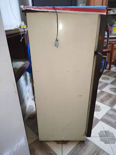 fridge medium size 4