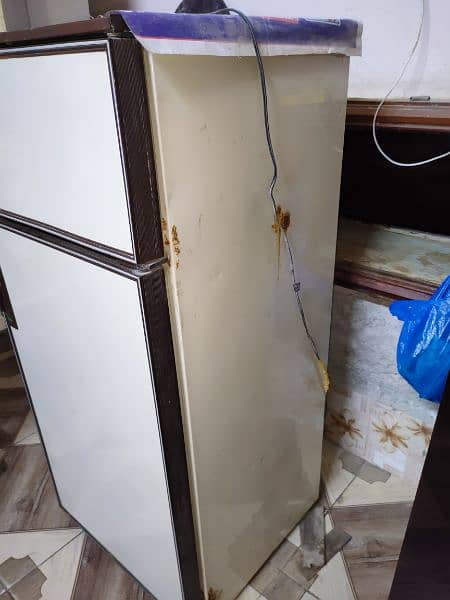 fridge medium size 6