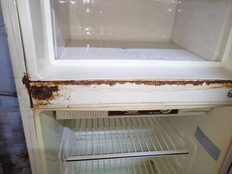 fridge medium size 8