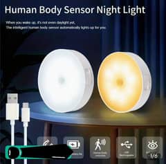 motion sensor light