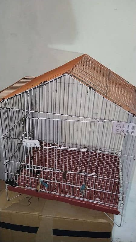 Bird cage for sale 1