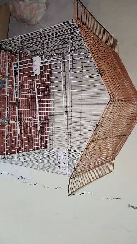 Bird cage for sale 2