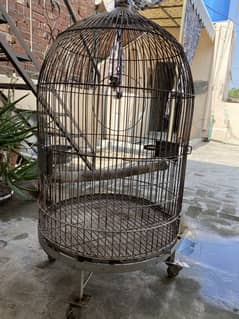 Macaow/Grey Parrot Big Birds Cage Strong Wire