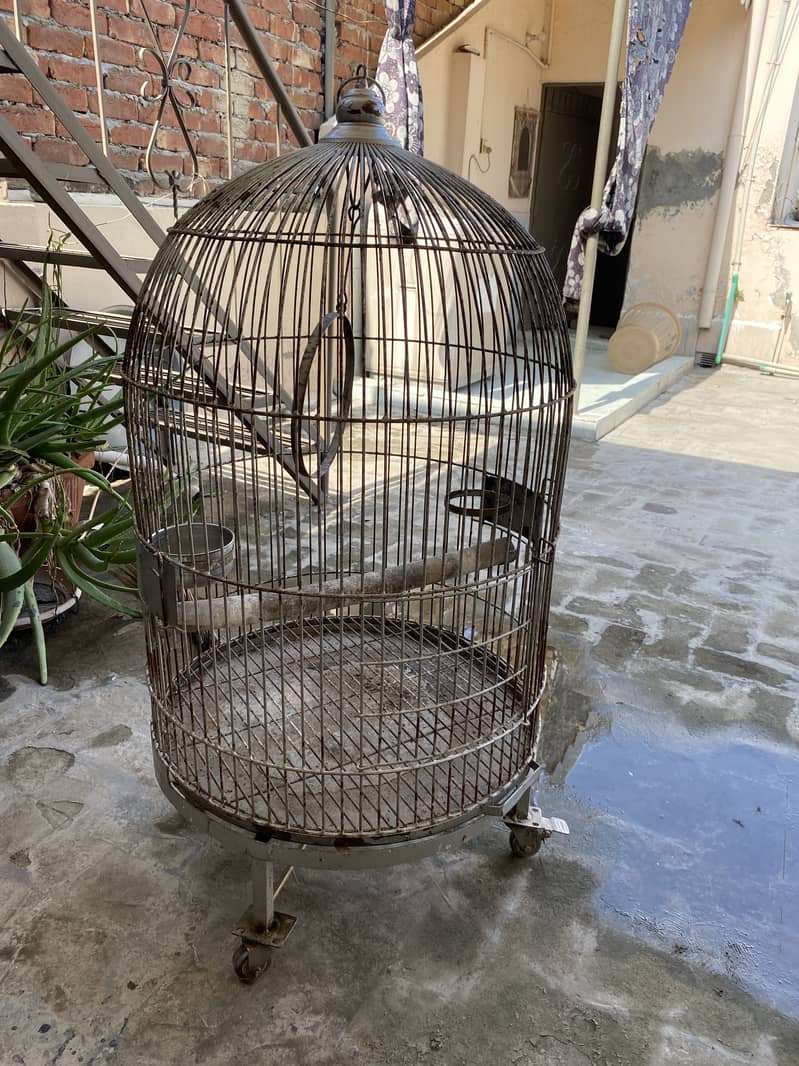 Macaow/Grey Parrot Big Birds Cage Strong Wire 1