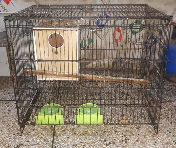 bird cage 4