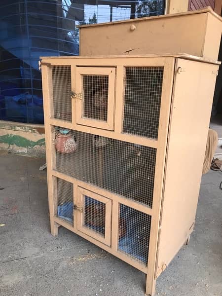 parrots cage for sale with 5 pair 1