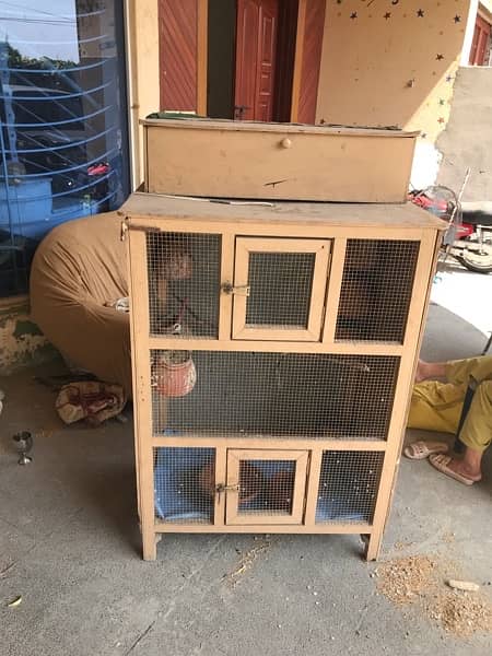 parrots cage for sale with 5 pair 2