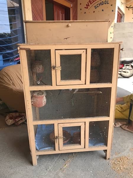 parrots cage for sale with 5 pair 3