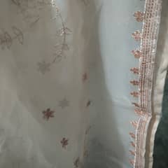 Organza , peach color, size large