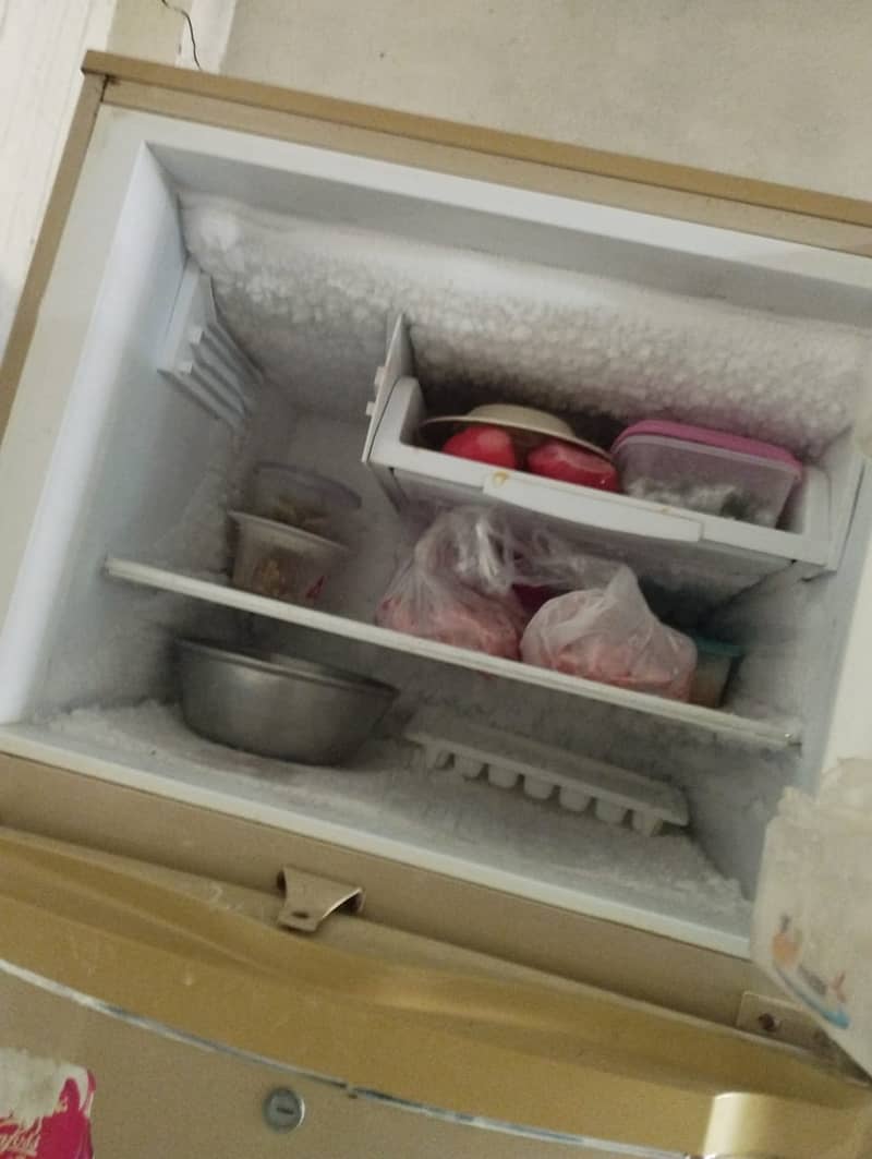 PEL REFRIGERATOR 1