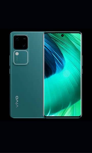 Vivo V30 12/256 2