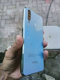 vivo