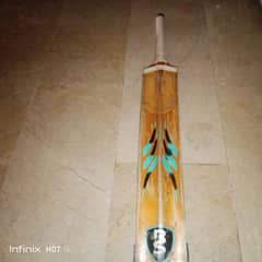 cricket bat