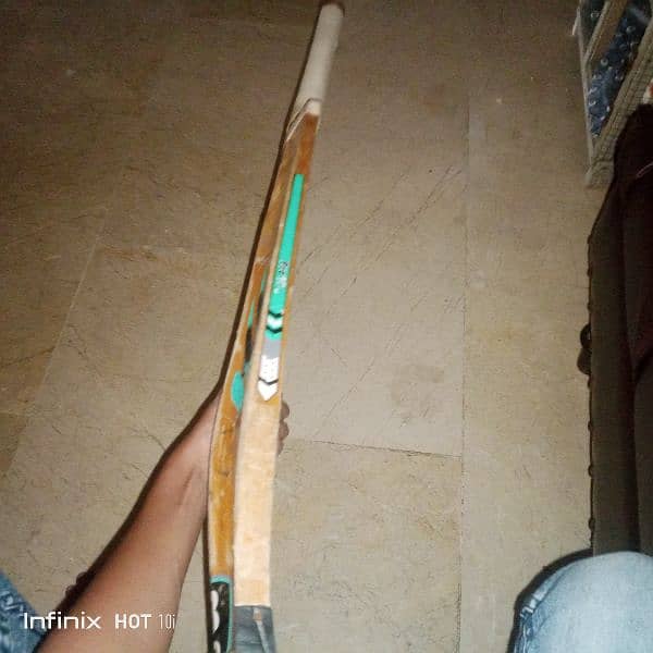 cricket bat 2