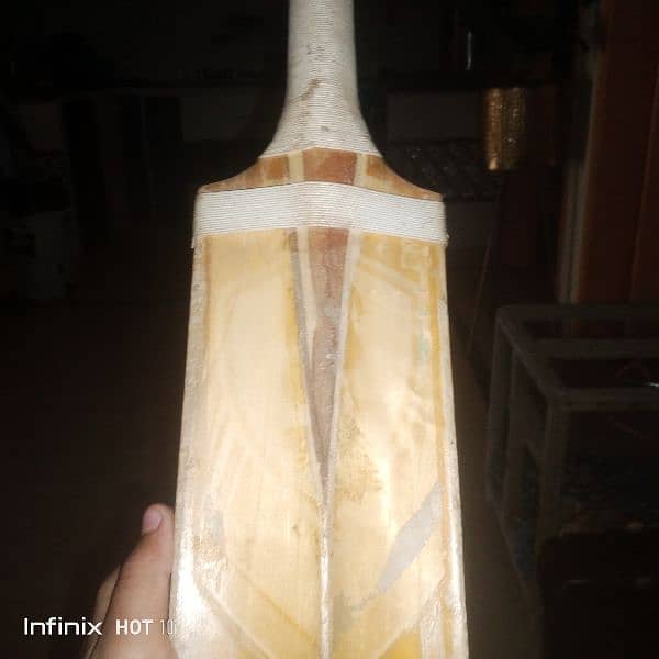 cricket bat 4