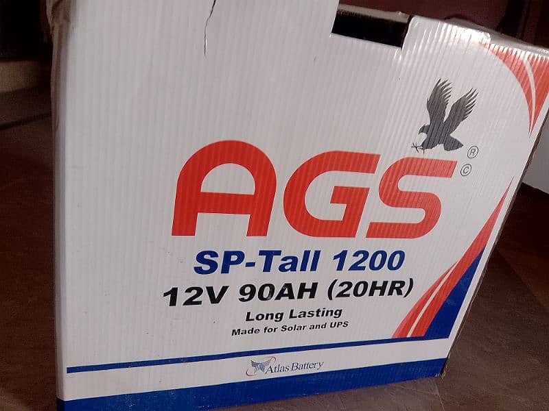 AGS sp tall 1200 for ups & solar 4