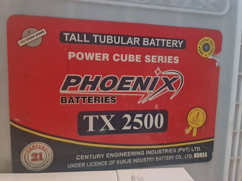 phoenix tubler battrys 2