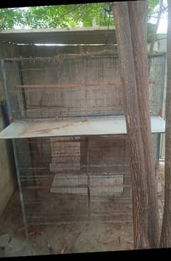 Cage for sale