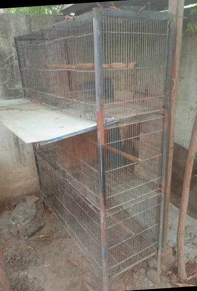 Cage for sale 2