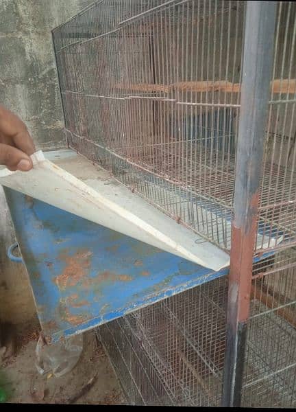 Cage for sale 3