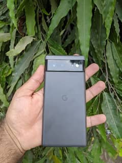 google pixel 6