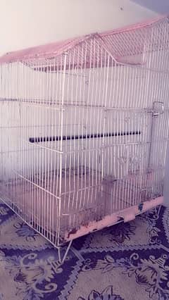 Birds  Cage