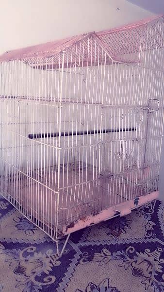 Birds  Cage 1